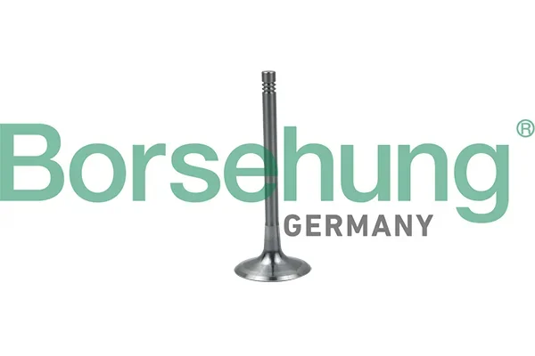 Sací ventil Borsehung B19024 – OE 06J109601A