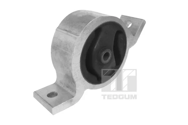 Zaveseni motoru TEDGUM 00466219 – OE 113202F020
