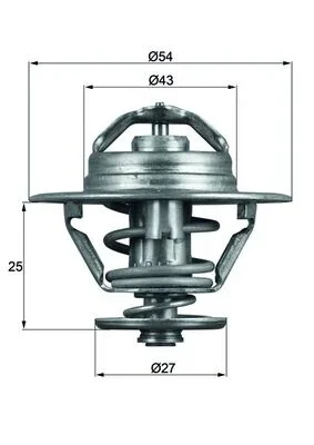 Termostat, chladivo MAHLE TX9374D