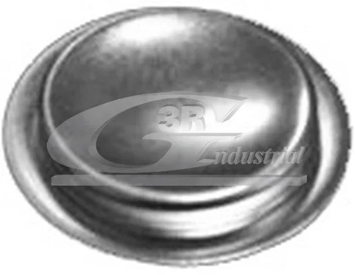 Záslepky - hřídel sklápěče - montážní otvor 3RG 84051 – OE 91600682
