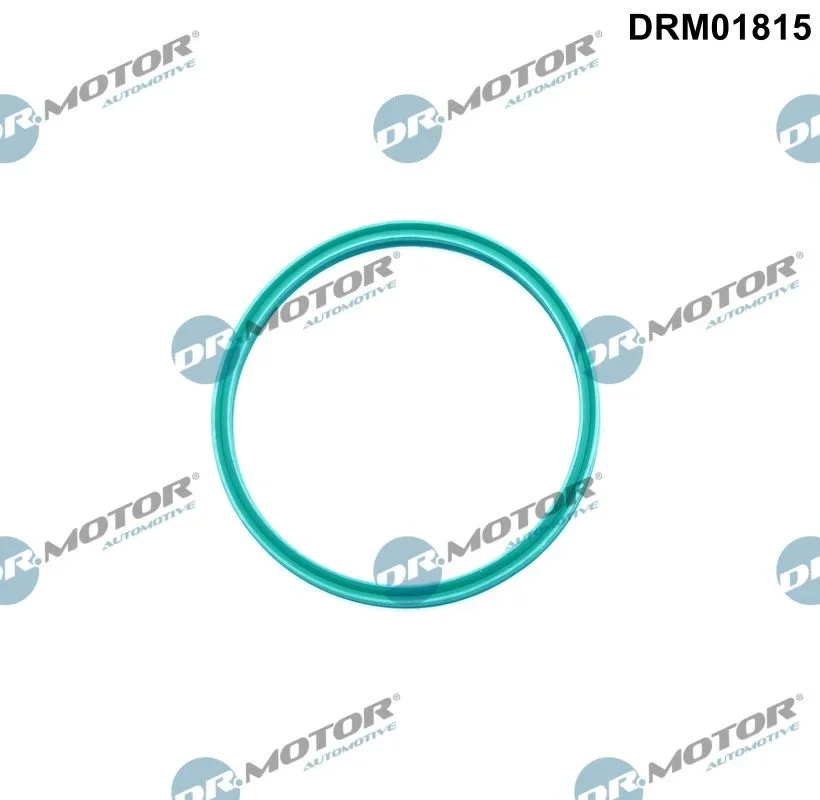 Těsnicí kroužek, hadice plnicího vzduchu Dr.Motor Automotive DRM01815