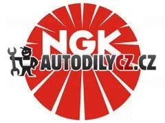 NG LZKR6B-10E Zapalovací svíčka NGK
