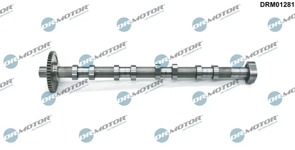 Vačkový hřídel Dr.Motor Automotive DRM01281 – OE 06H109022BA