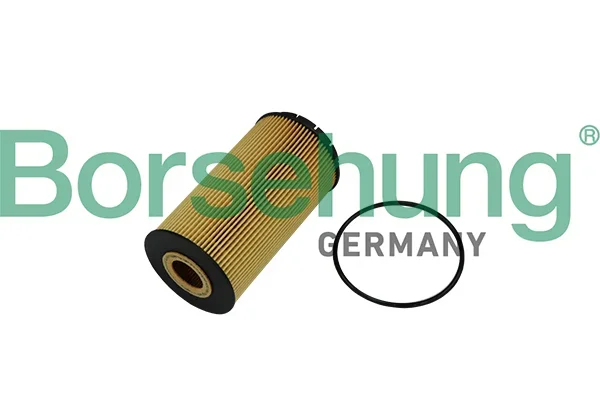 Olejový filtr Borsehung B10518