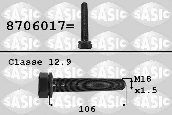 Sroub remenice SASIC 8706017 – OE N90498002