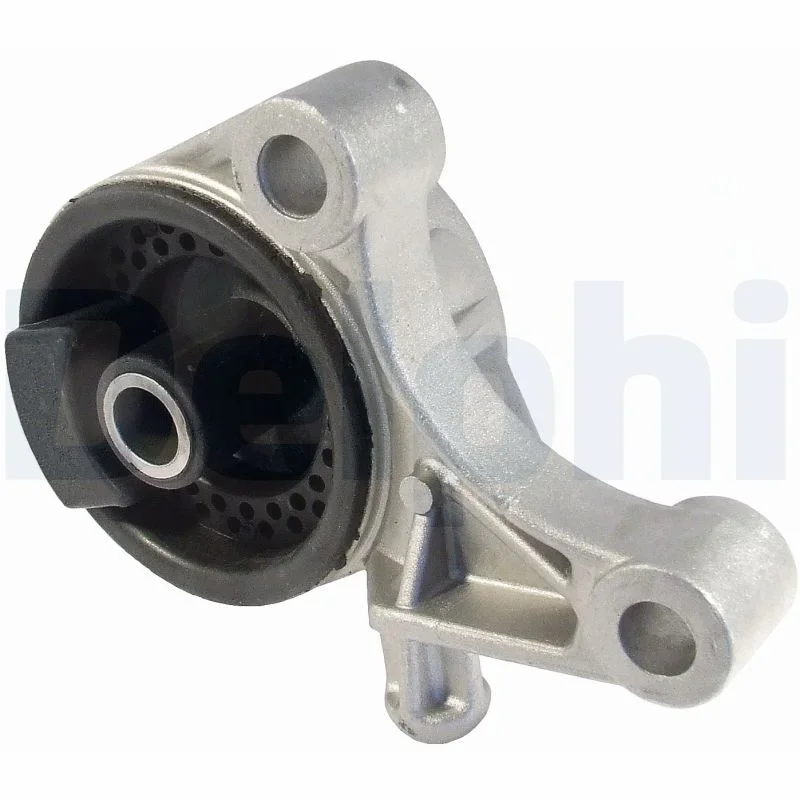 Zaveseni motoru DELPHI TEM006