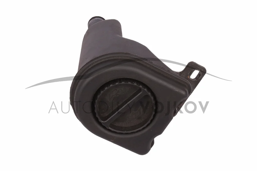 Hrdlo nalévání oleje v:53598