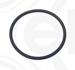 Těsnicí kroužek ELRING 487.450